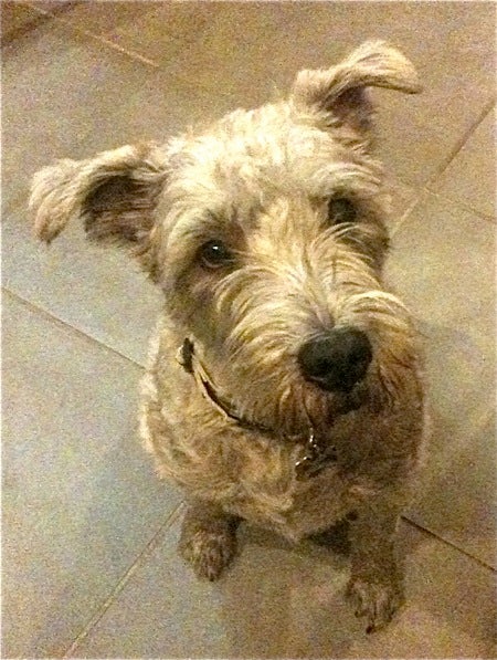 Digby