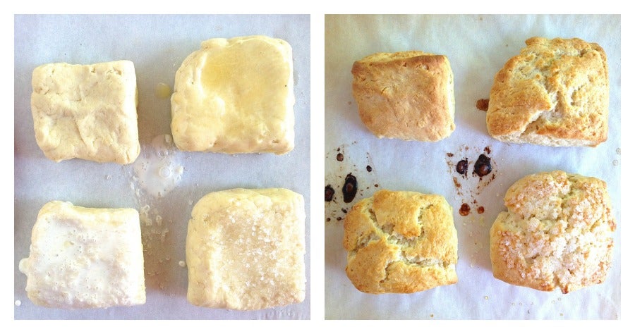 biscuit2