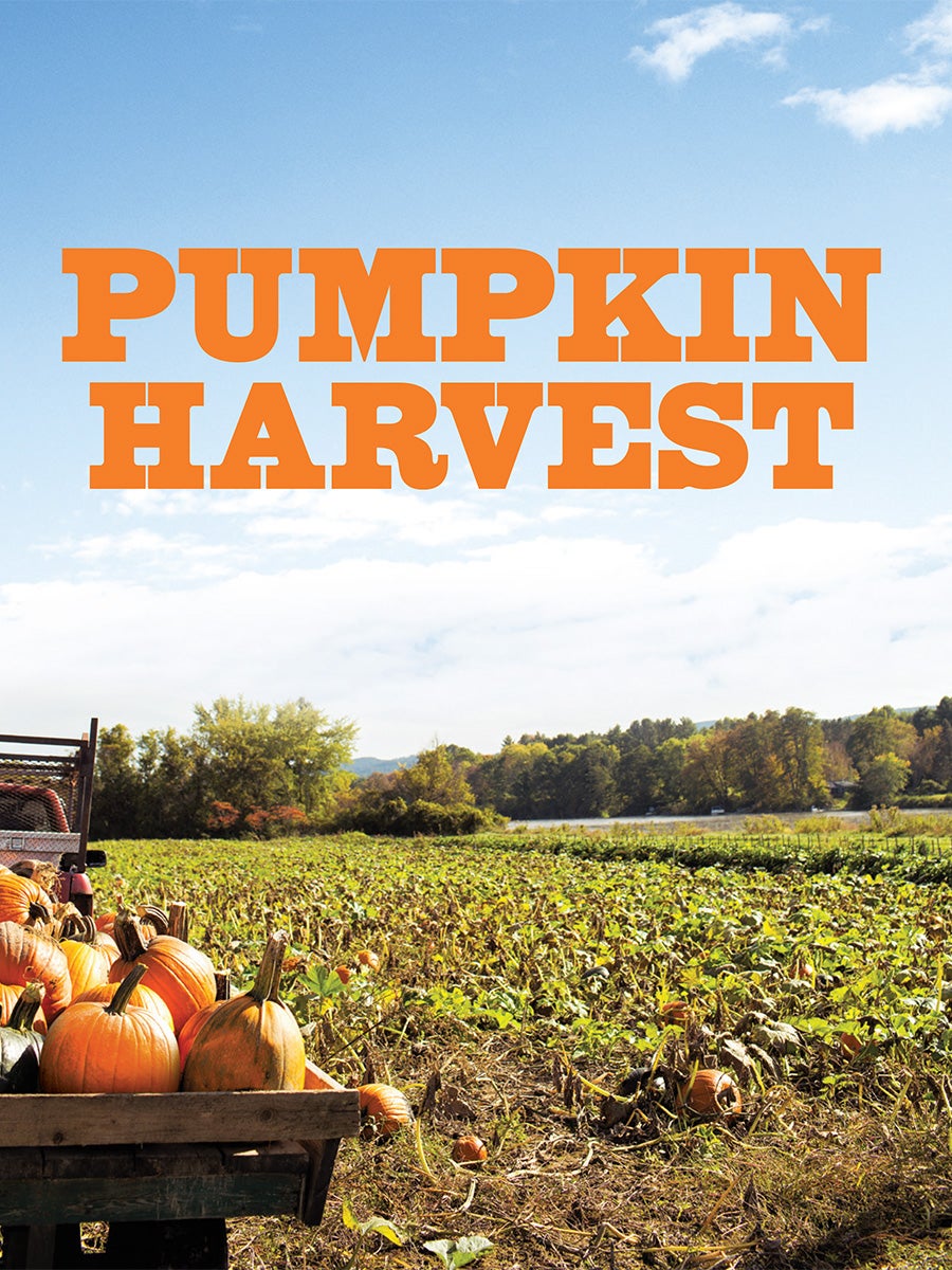 Sift magazine via @kingarthurflour