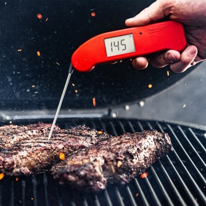 Thermapen One